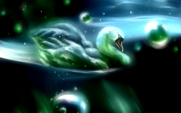 Картинка разное -+другое пузырьки абстракция белая лебедь птица вода