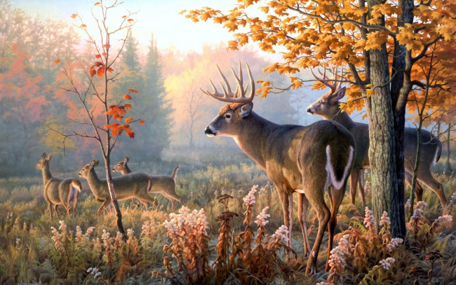 Обои картинки фото рисованное, животные,  олени, поляна, лес, олени