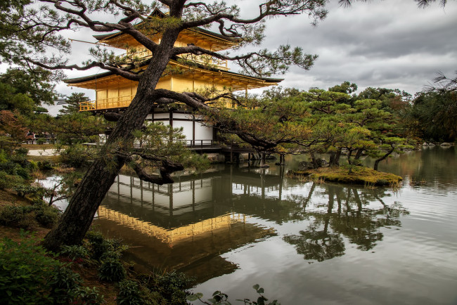 Обои картинки фото kyoto,  japon, города, - буддийские и другие храмы, парк, храм, пруд