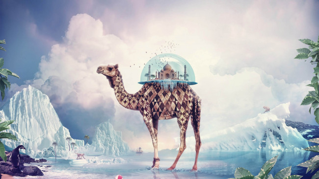 Обои картинки фото fantasy camel, фэнтези, фотоарт, фэнтази