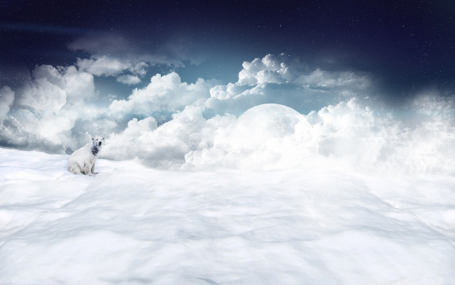 Обои картинки фото разное, компьютерный дизайн, белый, полярный, облака, снег, планета, медведь