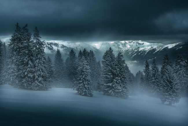 Обои картинки фото природа, зима, лес, снег, горы