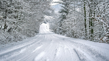 обоя природа, дороги, лес, дорога, снег
