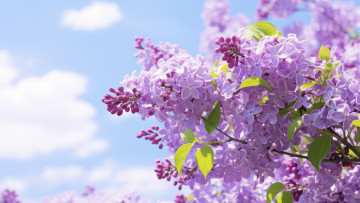 Картинка рисованное цветы природа весна сирень соцветия ии-арт нейросеть