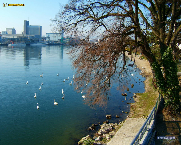 Обои картинки фото basel, switzerland, города, пейзажи