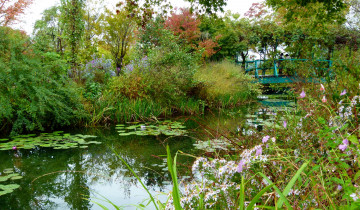 Картинка природа парк водоем мостик водяные лилии