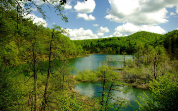 Картинка природа реки озера горы лес деревья
