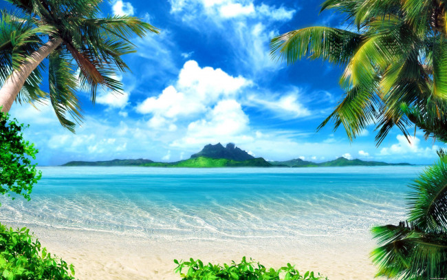 Обои картинки фото природа, тропики, пальмы, море, пляж, пейзаж, рай, остров, облака