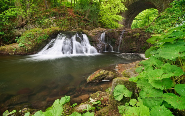 Обои картинки фото природа, водопады, деревья, листья, вода