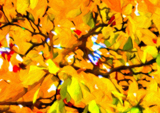 Картинка рисованные природа листья жёлтые деревья осень
