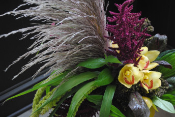 Картинка цветы букеты +композиции орхидея композиция