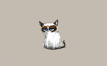 Картинка grumpy+cat рисованные минимализм хмурый кот tardar sauce сердитый котик grumpy cat