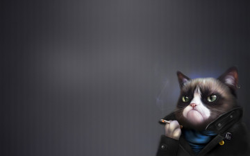 Картинка grumpy+cat юмор+и+приколы кот сигарета хмурый tardar sauce сердитый котик grumpy cat