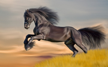 Картинка рисованные животные поле лошадь