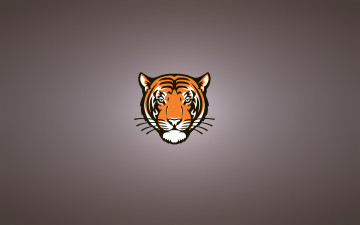 Картинка тигр рисованные минимализм tiger