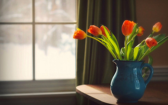 Обои картинки фото цветы, тюльпаны, кувшин