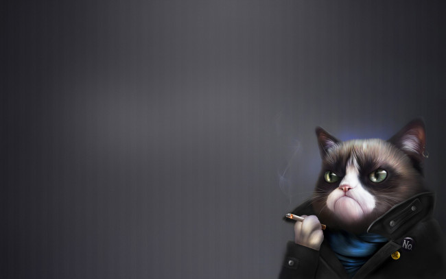 Обои картинки фото grumpy cat, юмор и приколы, кот, сигарета, хмурый, tardar, sauce, сердитый, котик, grumpy, cat