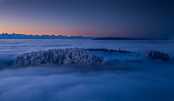 Картинка природа пейзажи горы туман лес