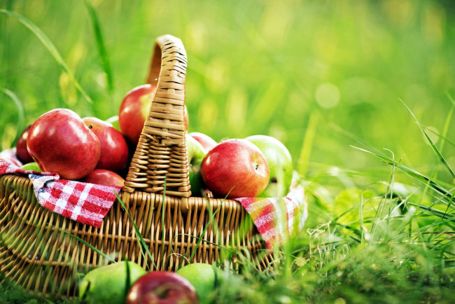 Обои картинки фото еда, Яблоки, корзинка, яблоки