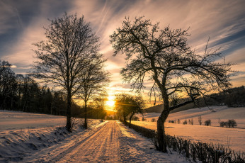 Картинка природа дороги утро дорога зима