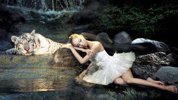 Картинка девушки -unsort+ креатив балерина тигр озеро камни водопад