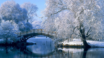 Картинка природа реки озера снег деревья озеро мост