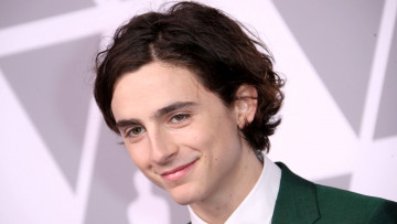 обоя timothee chalamet, мужчины, - unsort, timothee, chalamet