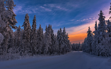 Картинка природа дороги зима лес закат