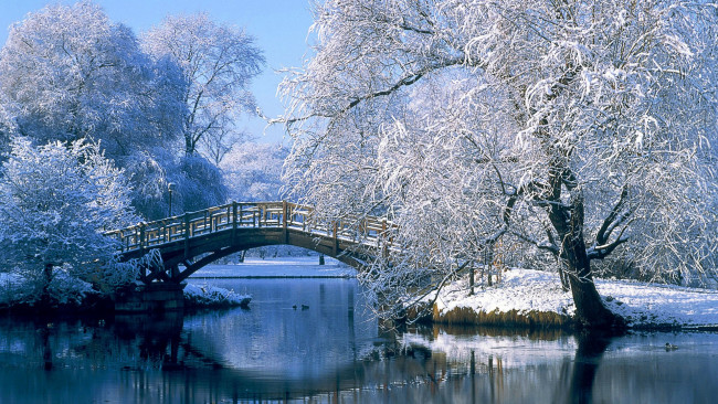 Обои картинки фото природа, реки, озера, снег, деревья, озеро, мост