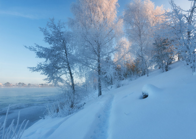 Обои картинки фото природа, зима, московская, область, дубна, тропинка, река, волга, россия, снег, сугробы, деревья