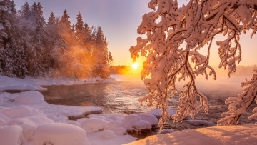 Картинка природа реки озера мороз ветвь снег