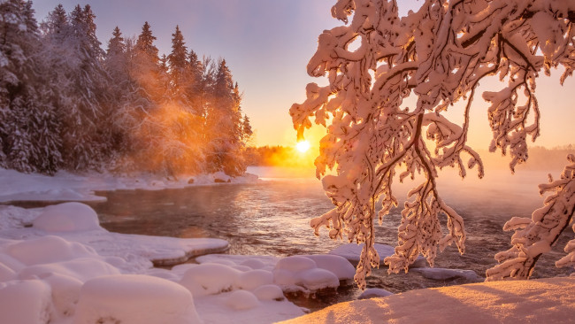 Обои картинки фото природа, реки, озера, мороз, ветвь, снег