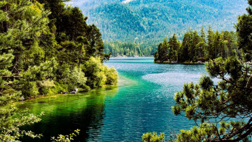 Картинка природа реки озера река заводь