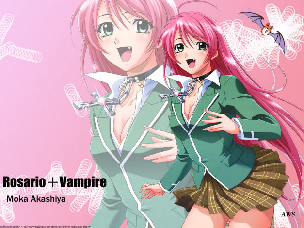 Обои картинки фото аниме, rosario, vampire