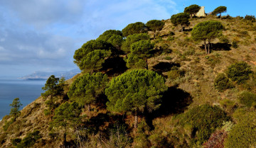 Картинка природа побережье лигурия вентимилья