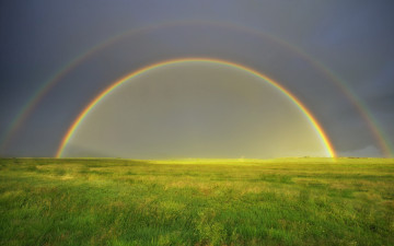 Картинка природа радуга поле