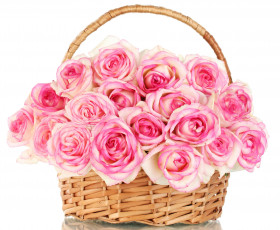 Картинка цветы розы бутоны корзина