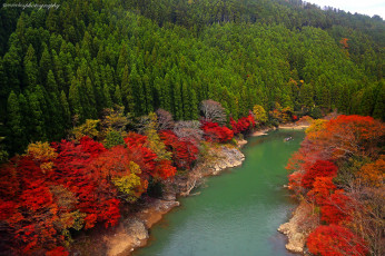 Картинка arashiyama kyoto japan природа реки озера лес oi river Япония река деревья