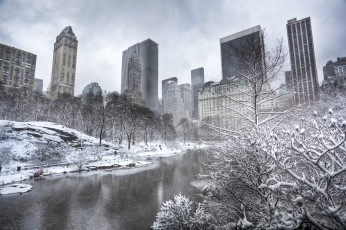 Картинка central park new york city города нью йорк сша небоскрёбы деревья manhattan зима водоём манхэттен центральный парк