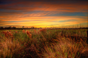 Картинка природа луга поле трава облака