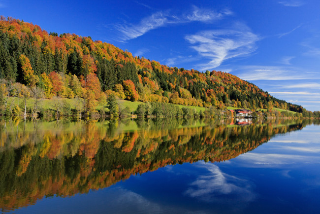 Обои картинки фото природа, реки, озера, бавария, озеро, отражение, осень, лес, германия