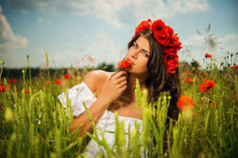 Картинка девушки -unsort+ брюнетки +шатенки цветы поле природа маки