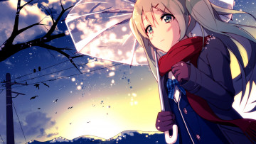 Картинка vocaloid аниме tsukun112 hatsune miku вокалоид хатсуне мику девушка ночь небо зонтик куртка школьная форма длинные волосы звезды птицы свет снег