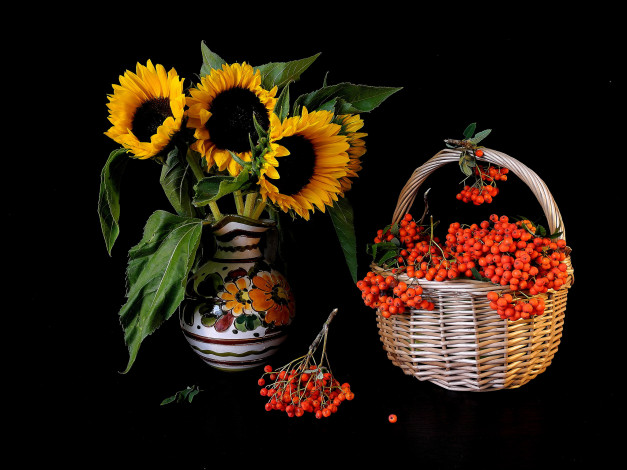 Обои картинки фото еда, натюрморт, рябина, корзина, подсолнух, цветы, ваза