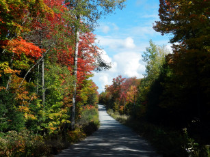 Картинка природа дороги осень деревья дорога проселочная лес