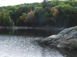 Картинка природа реки озера река вода камень деревья