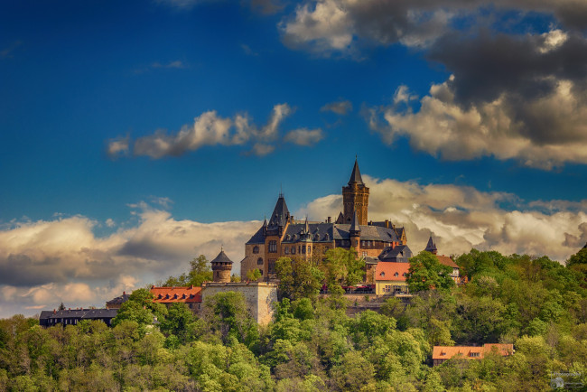 Обои картинки фото schlo&, 223,  wernigerode, города, замки германии, панорама