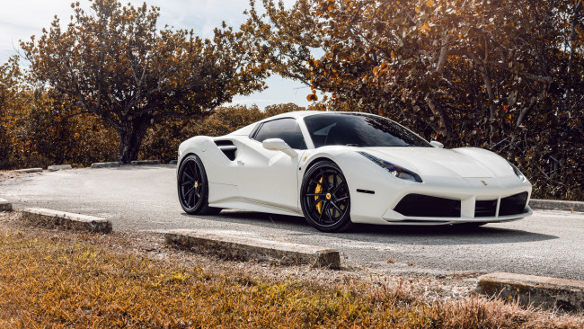 Обои картинки фото автомобили, ferrari, 488