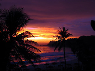 Картинка природа восходы закаты закат пальмы тропики