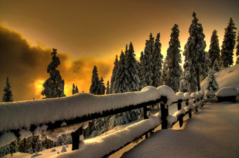Картинка природа зима winter